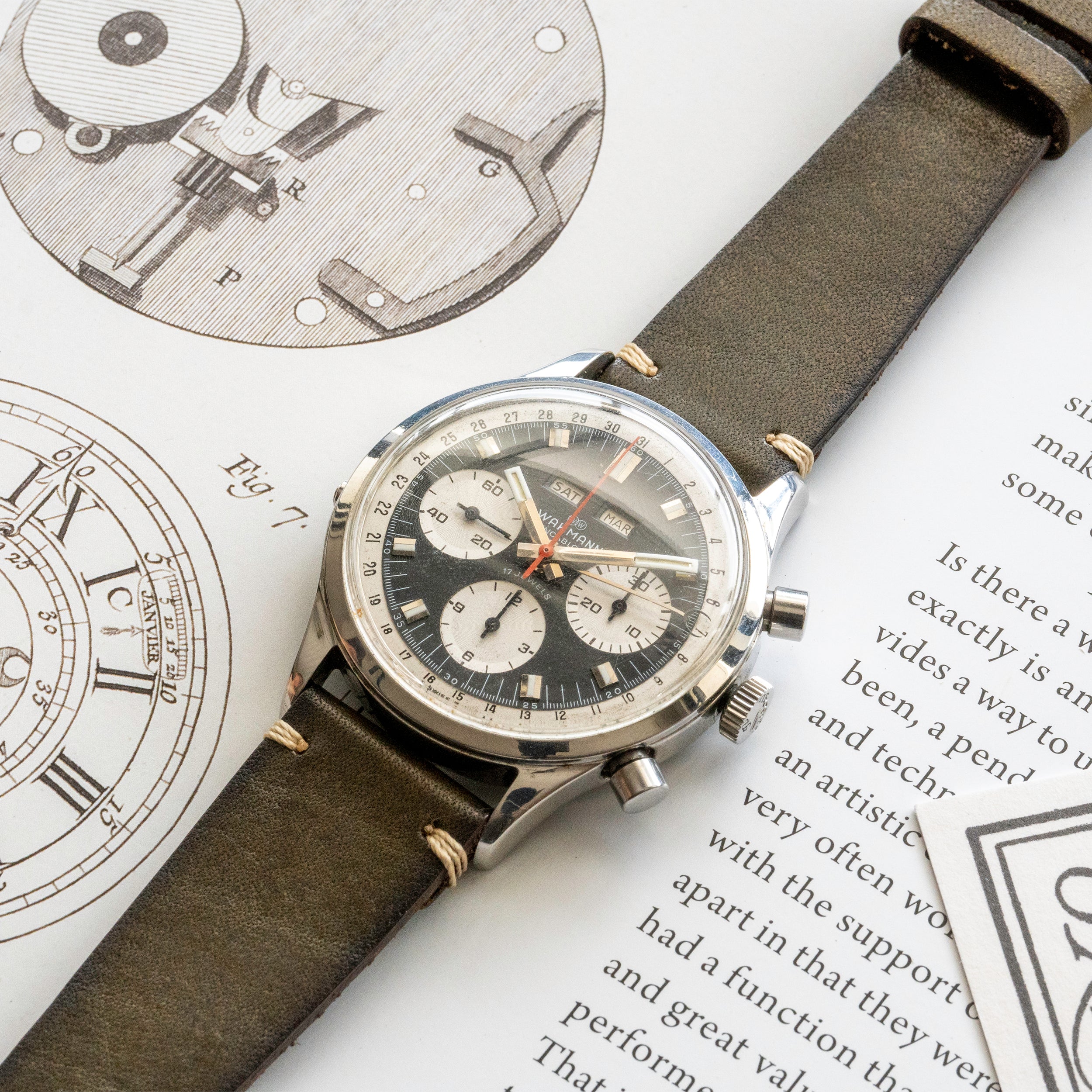Curious Curio × Vasco Japanese Cowhide Watch Strap