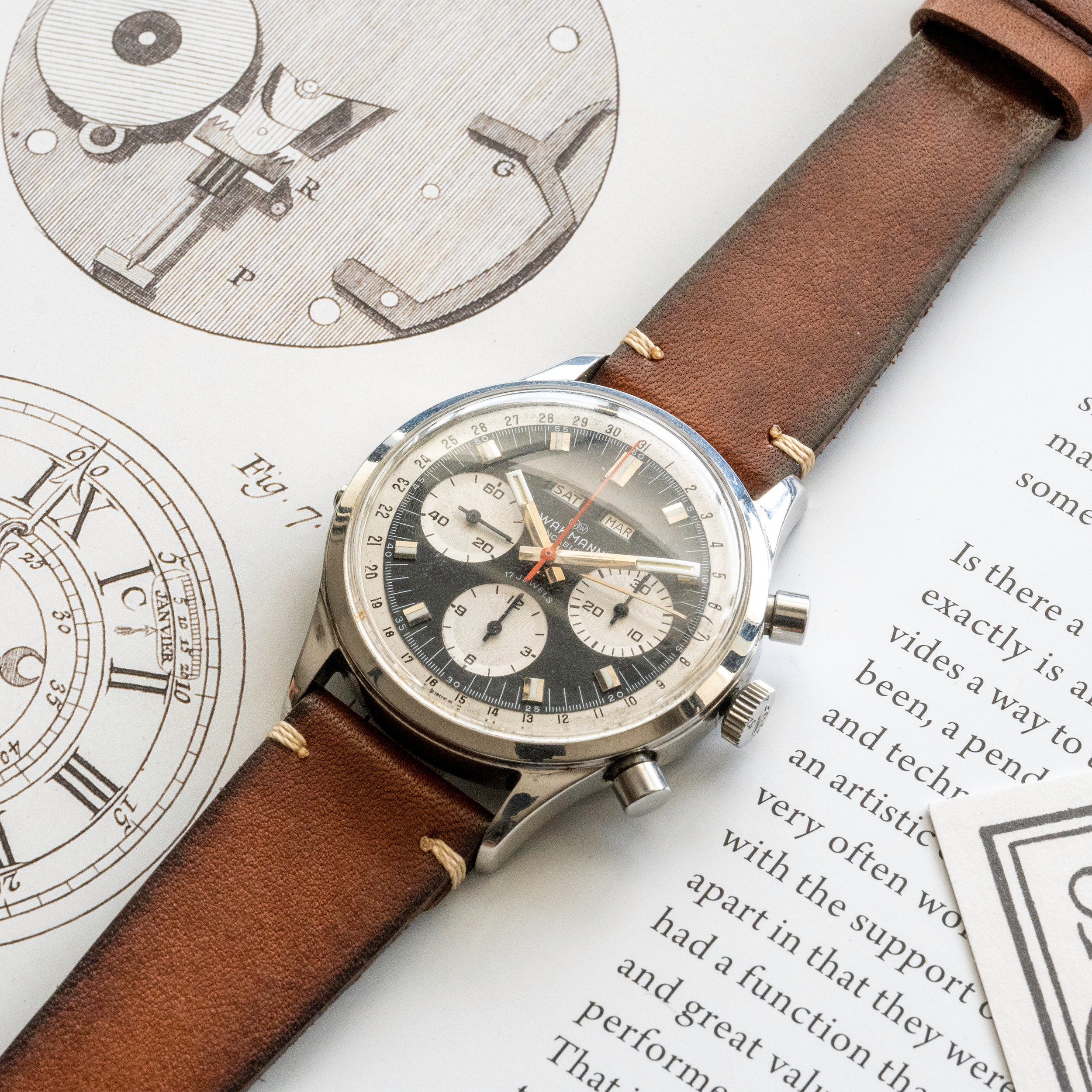 Curious Curio × Vasco Japanese Cowhide Watch Strap