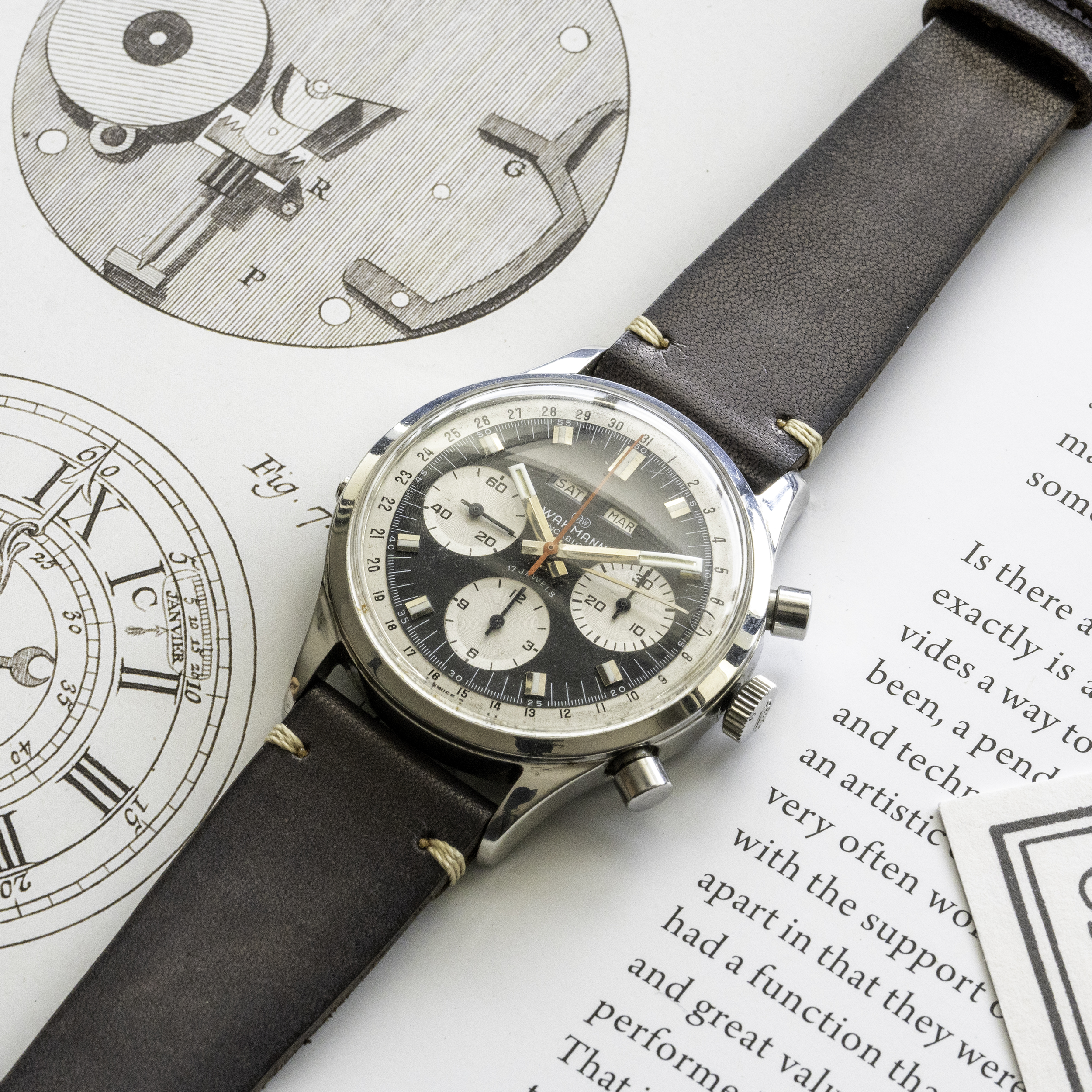 Curious Curio × Vasco Japanese Cowhide Watch Strap