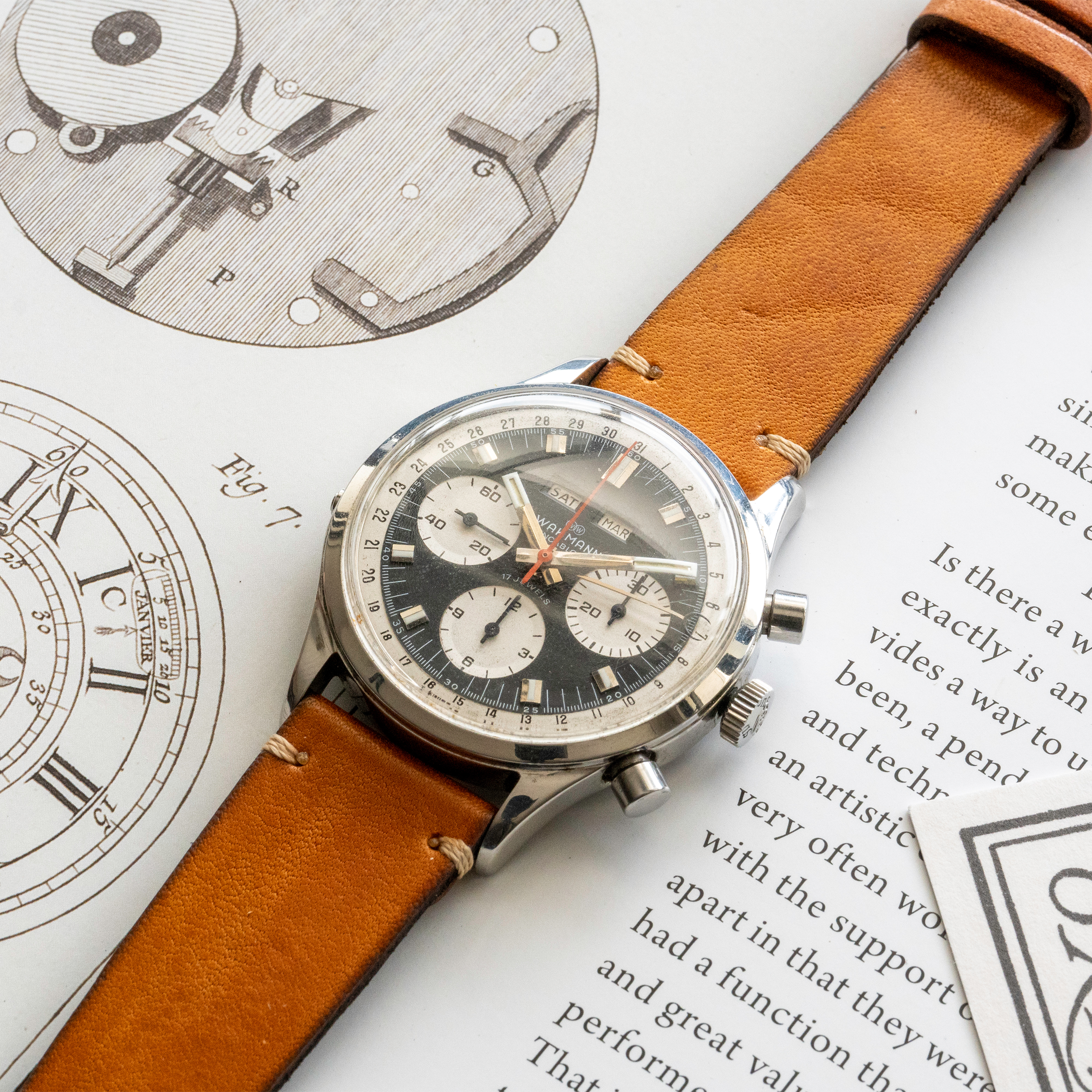 Curious Curio × Vasco Japanese Cowhide Watch Strap