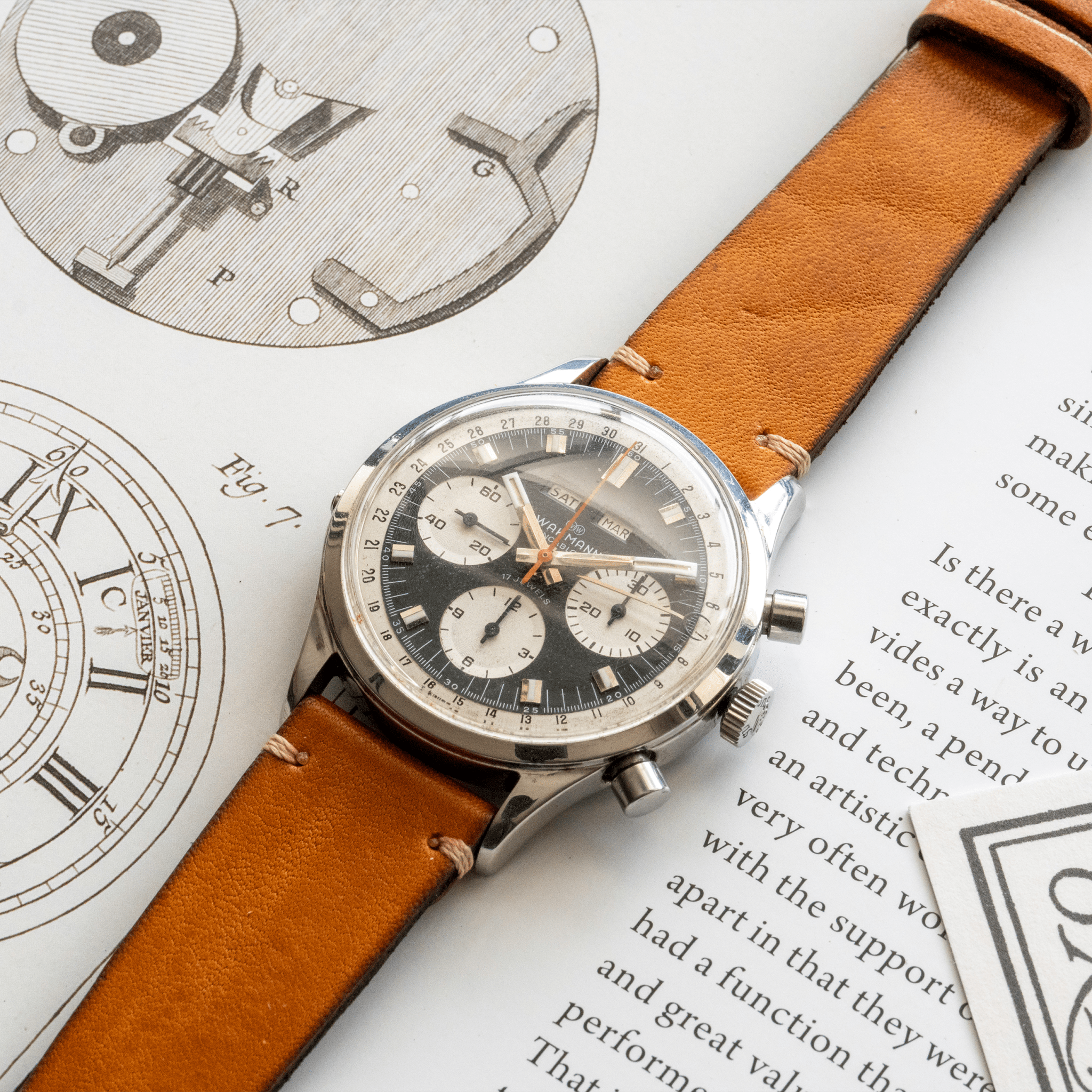 Accurate Form Curious Curio × Vasco Japanese Cowhide Watch Strap - Time Curated